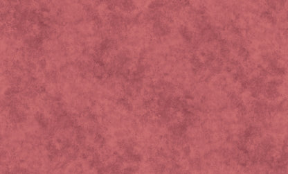 Monsoon Sale(A 27405)