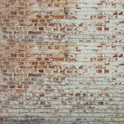 Distressed Limewash ( ABS 125 )