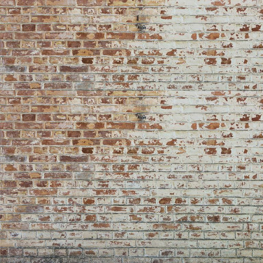 Distressed Limewash ( ABS 125 )