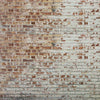 Distressed Limewash ( ABS 125 )