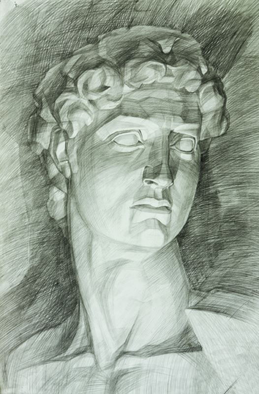 classical bust sketch ( abs 136 )