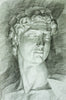 Classical Bust Sketch ( ABS 136 )
