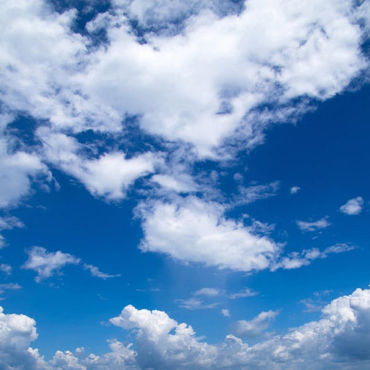 Blue Sky Wallcovering (ART 145)