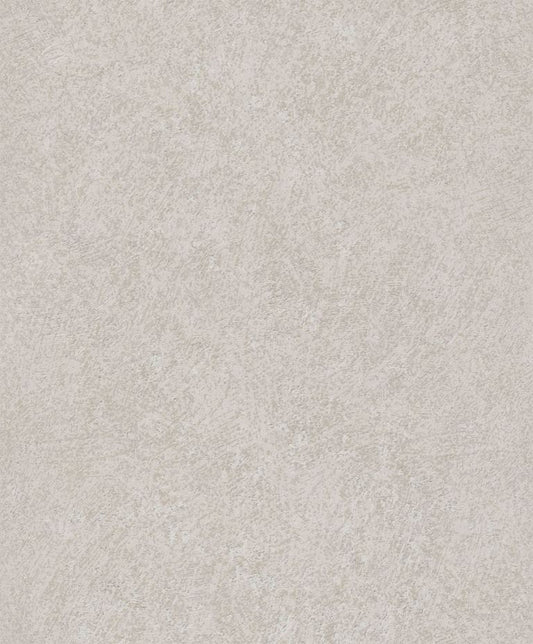 Pale Stone Plaster (A 61501)