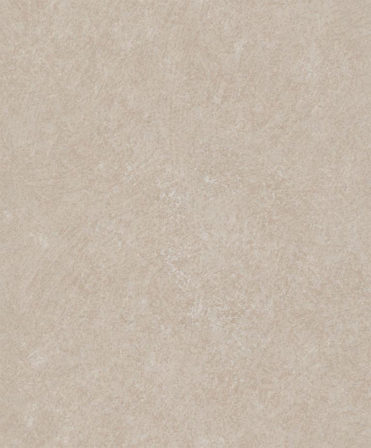 Desert Clay Mist (A 61503)