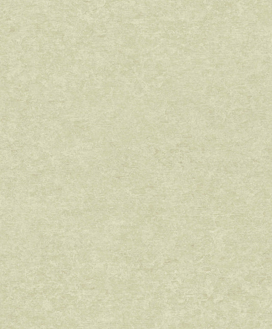 Muted Linen Texture (Pale Green) (A 65603)