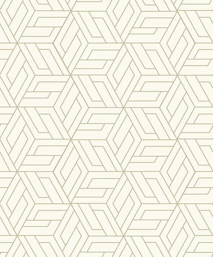 Latticework (A 67301)
