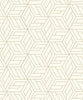 Latticework (A 67301)