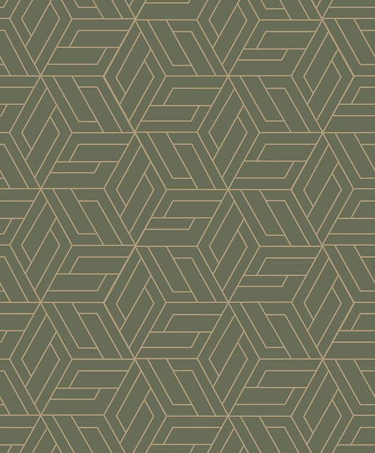 Latticework (A 67303)