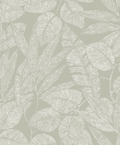 Leafy Layers (A 69501)