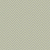 Discount Sale(BA220093)
