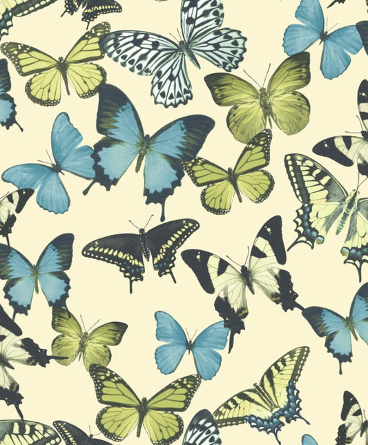 Discount Sale(BA2602)