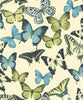 Discount Sale(BA2602)