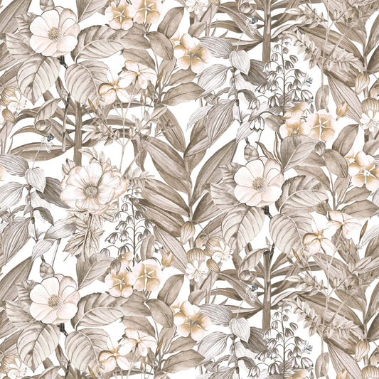 FLORENZA(Sepia Brown) (BOR 101)