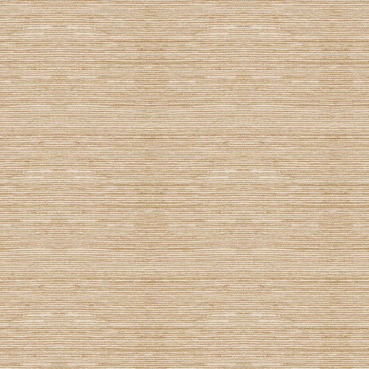GRAIN(Golden Tan) (BOR 102)