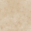 PATINA(Ochre Beige) (BOR 104)