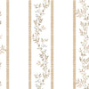 CLIMBER(Pale Beige) (BOR 105)