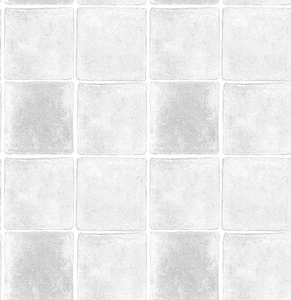 TERRANE(Light Silver) (BOR 124)