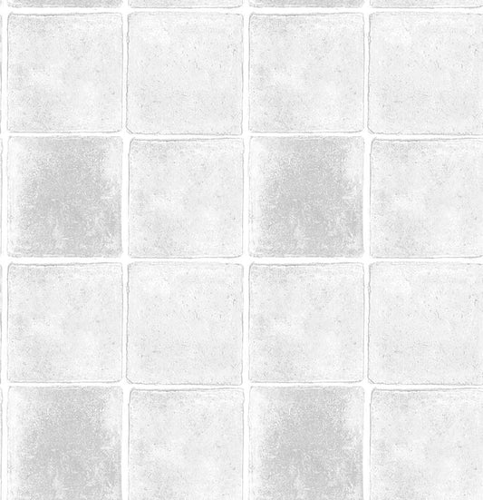 TERRANE(Light Silver) (BOR 124)