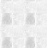 TERRANE(Light Silver) (BOR 124)