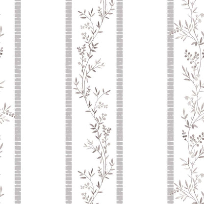 CLIMBER(Muted Mauve) (BOR 126)