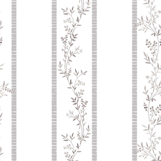 CLIMBER(Muted Mauve) (BOR 126)