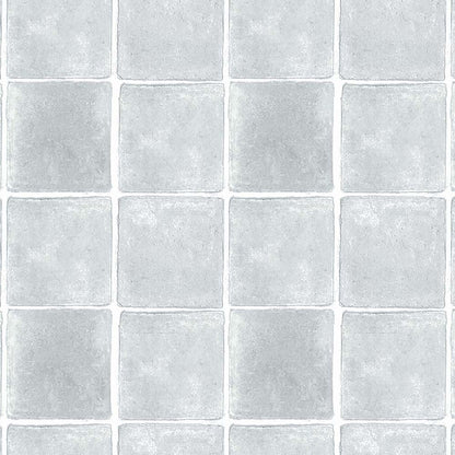 TERRANE(Light gray) (BOR 140)