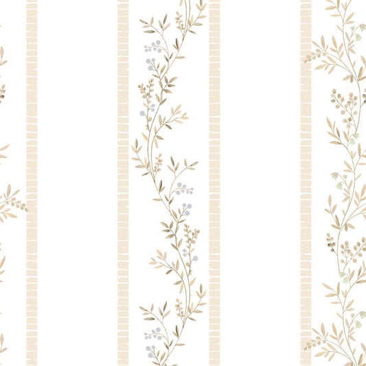 CLIMBER(Creamy beige) (BOR 149)