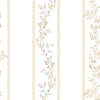 CLIMBER(Creamy beige) (BOR 149)