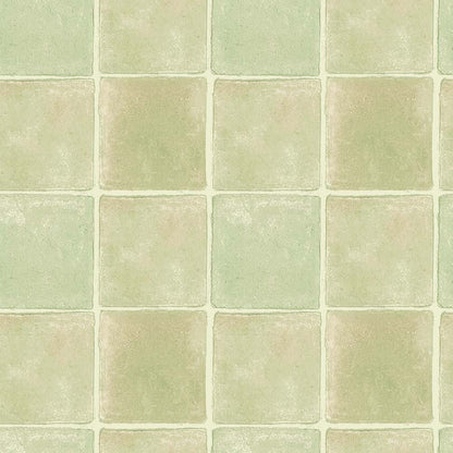 TERRANE(Celadon Green) (BOR 160)