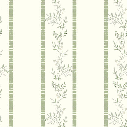 CLIMBER(Willow Green) (BOR 162)