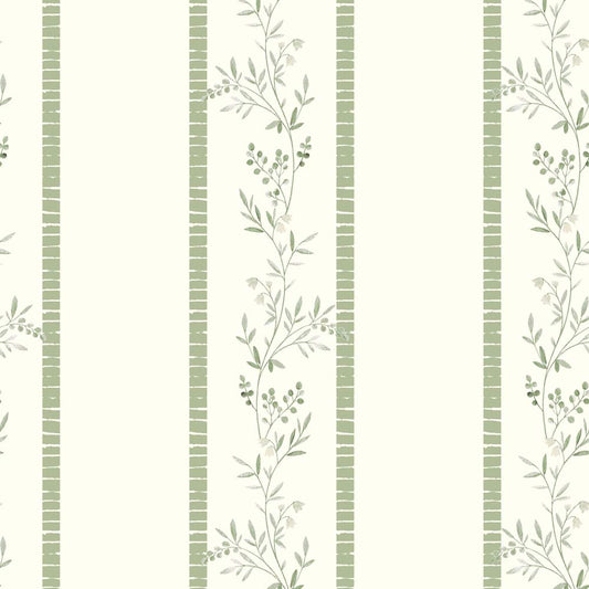 CLIMBER(Willow Green) (BOR 162)