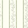 CLIMBER(Willow Green) (BOR 162)