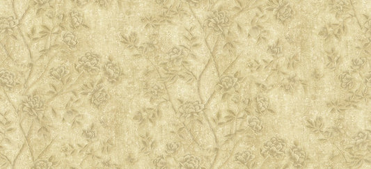 Discount Sale(C88419)