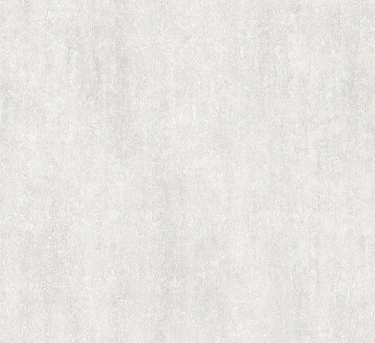 Sale (C88420)