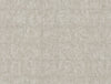 Discount Sale(C88443)