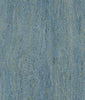 Discount Sale(C88801)