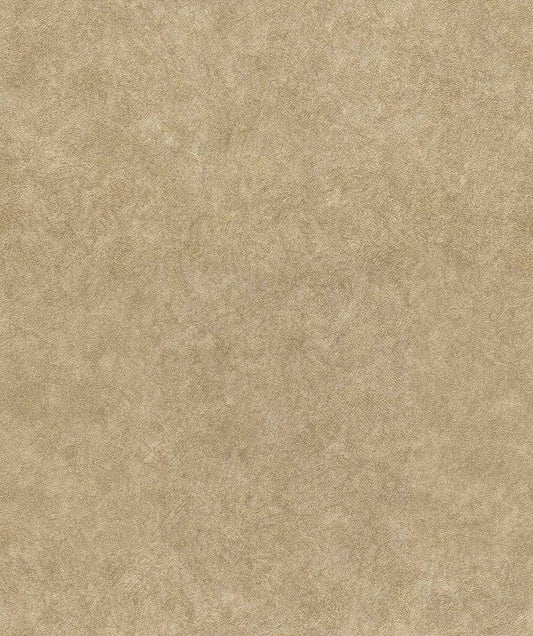 Discount Sale(C88832)