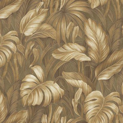 Jungle Canopy (DB 73714)