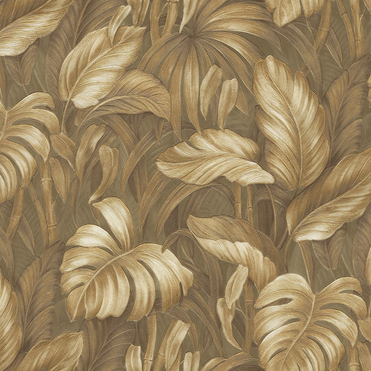 Jungle Canopy (DB 73714)