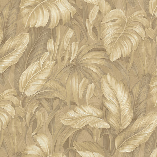 Desert Oasis (DB 73719)