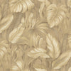 Desert Oasis (DB 73719)