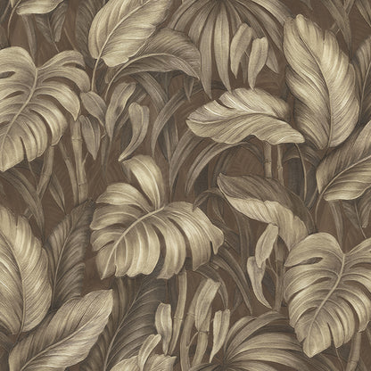 Dark Tropics (DB 73720)