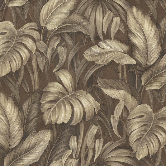 Dark Tropics (DB 73720)