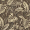 Dark Tropics (DB 73720)