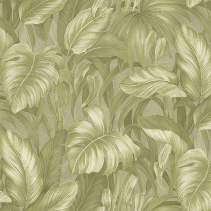 Rainforest Green (DB 73721)