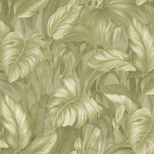 Rainforest Green (DB 73721)