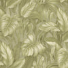 Rainforest Green (DB 73721)