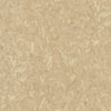 Clay Wall (DB 73726)