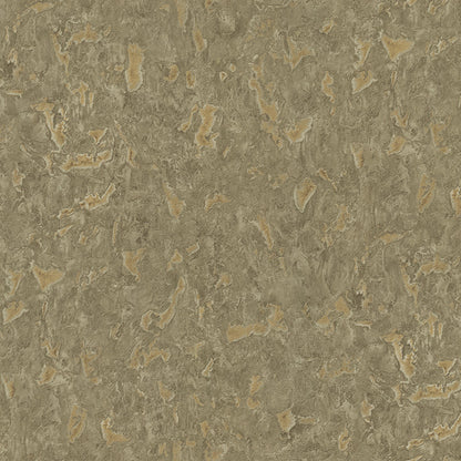 Fossilized Earth (DB 73728)